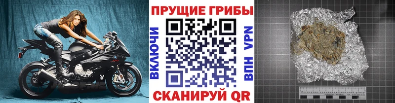 Галлюциногенные грибы мухоморы  даркнет сайт  блэк спрут ссылки  Правдинск 
